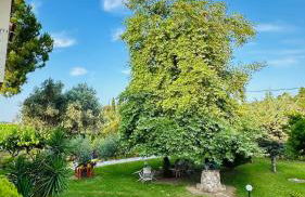 Viki Studios - Foto 48