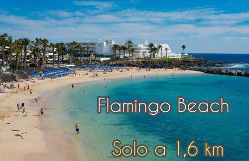 Love for Lanzarote holidays house - Foto 41