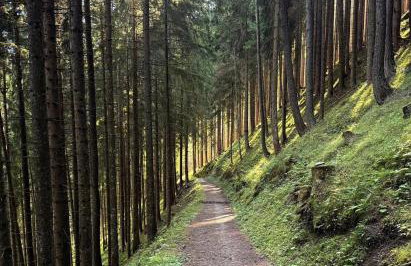 Chalet Scoiattolo Residence Sussy - Foto 7