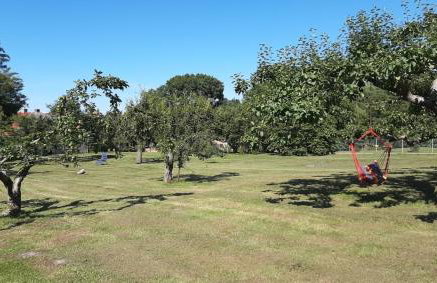 Apartament Pod Orzechem - Foto 16