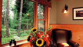 Upscale Fryeburg Cabin Hot Tub and Billiards Table! - Foto 4