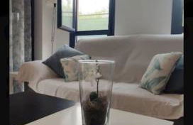 Piso planta baja y gran patio con piscina comunitaria de alquiler temporal - Foto 11