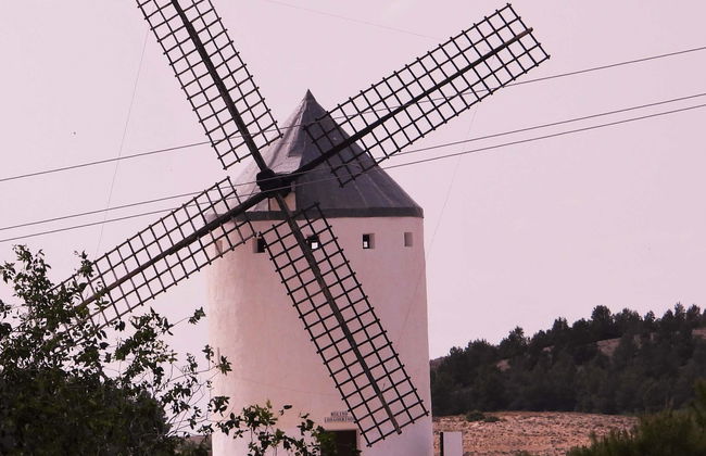 El Romeral Guided Tour - Photo 1