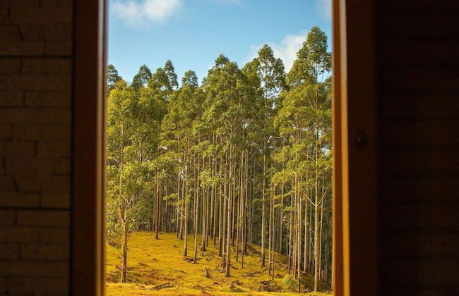 Chalé Sítio Corvo Branco - Photo 1