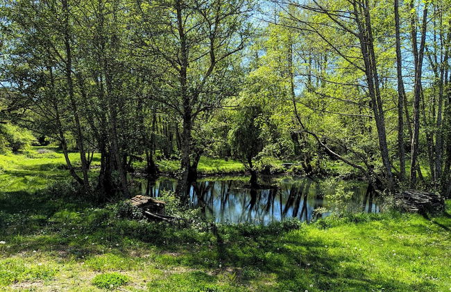 BONFARTO LOCATIONS - Foto 68