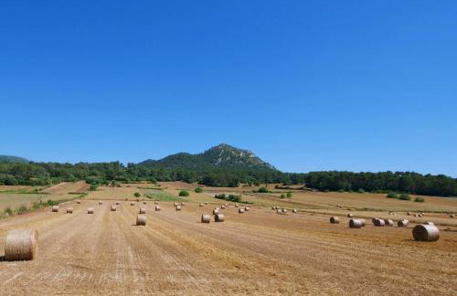 Son Fornes - Photo 25