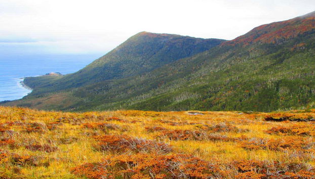 Disfrutando del paisaje