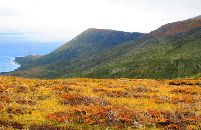 Trekking por el Monte Tarn - Foto 5