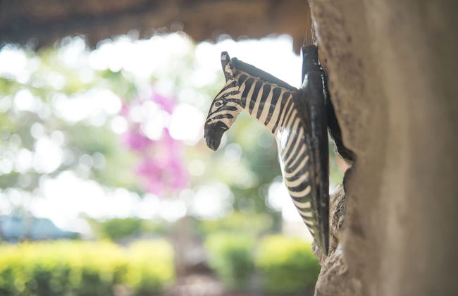 Nyati Hill Cottages - Foto 32