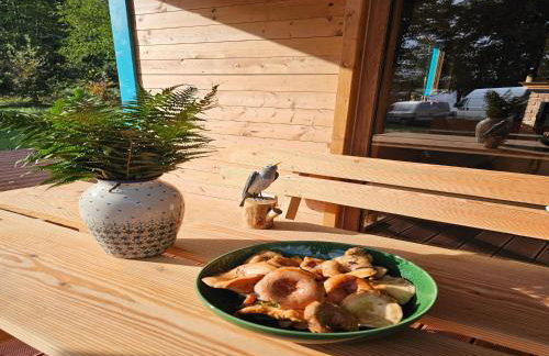 Holiday Home by Lake Wierzchowo with Private Beach - Foto 13