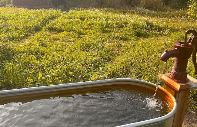 Little Atlin Lodge - Photo 62