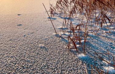 Sielanka Mazurska Świętajno Aprt 2 - Foto 14