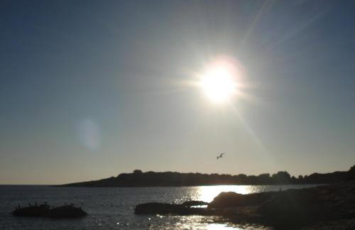 Holiday Home Julia - Foto 20