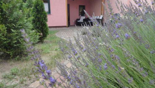 Ferienhaus Krüger - Photo 2