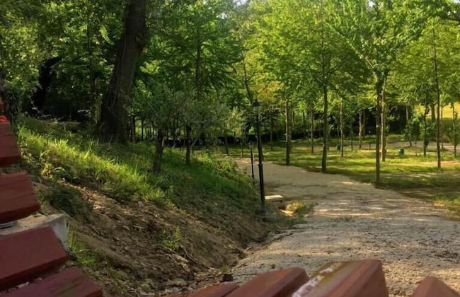 Saecula Natural Village Experience - Foto 67