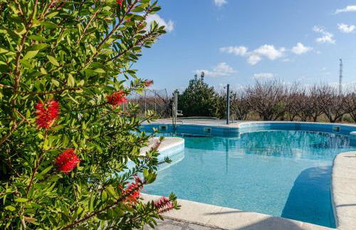 El Limonar de Mallorca - Agroturismo - Foto 30