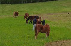 Tymek - domek - Foto 20