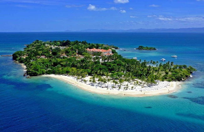 Avistamento de baleias em Samaná - Foto 5