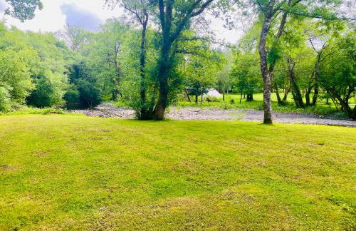 Daffodil House , West Wales - Foto 26