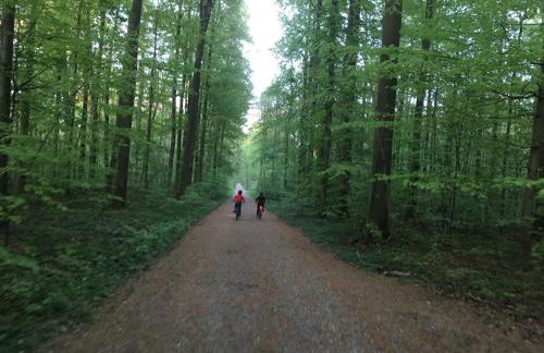 Klosterberghaus - Kontaktloser Check-in - Foto 37