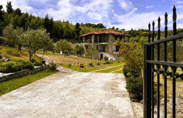 Κτήμα Verde - Foto 45