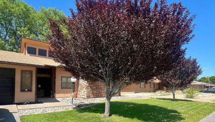 The Crash Site - Foto 4