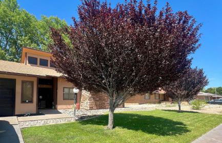 The Crash Site - Foto 4