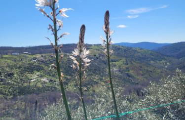 Apartamento La Muralla - Foto 8