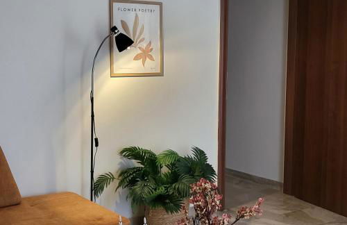 Classico Apartment - Photo 2