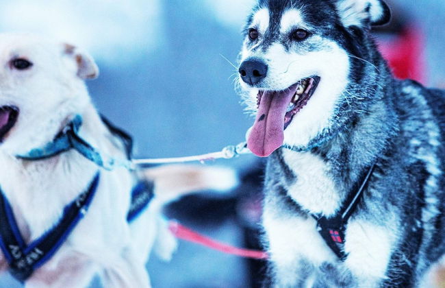 9 Person Holiday Home in Gratangen - Foto 11