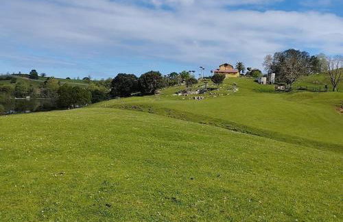 PequeñoCabárceno - Foto 41