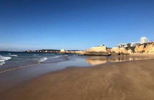 Casa dos Montes - Foto 23