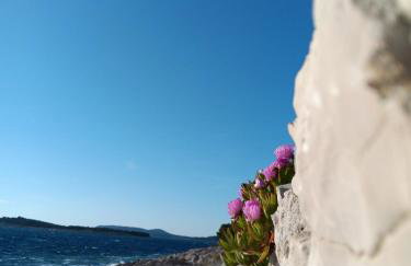 Drazena Buntin Apartments - Photo 45