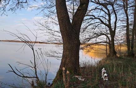 Mazury Lake House Sailing & Spa - Foto 28