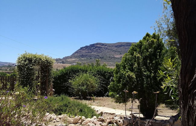 Cortijo Veracruz - Photo 77