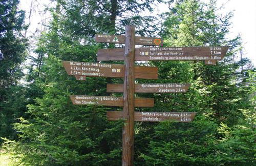 HIRSCH Hänsel Ferienhaus Garten mit Bergblick - Grill -Wald - Foto 40