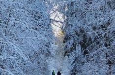 A-Frame am Ochsenkopf - Foto 26
