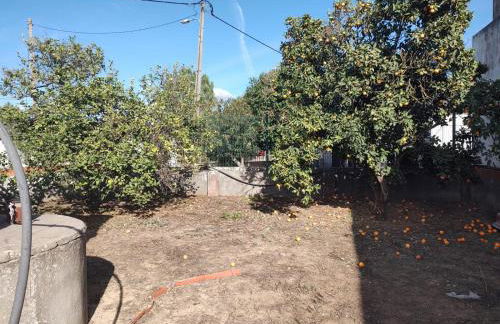 Casa Silva Barreiro - Foto 6