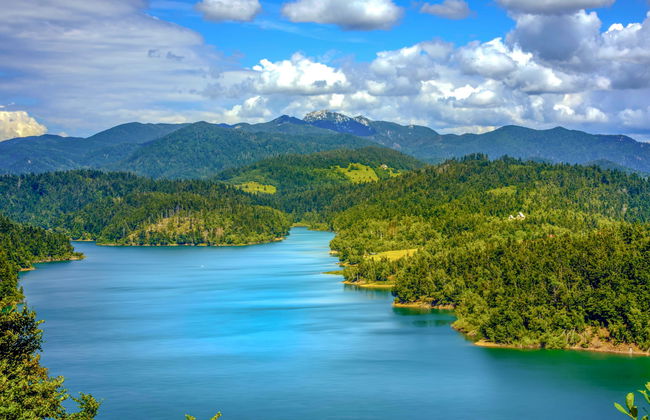 Lady Lavender - Foto 35