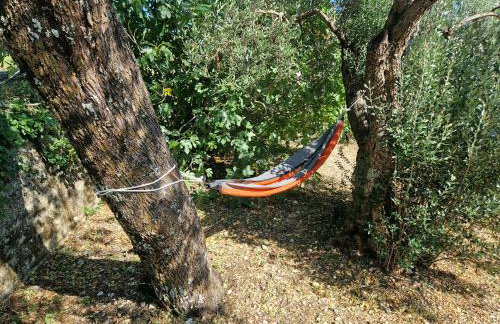 House Madrino - Foto 72