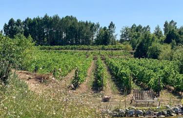 Mas Héritage - Foto 6