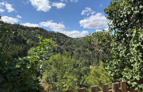 Gite LES SOURCES, 9 pers, 11 couchages - Arlempdes, classé un des plus beaux villages de France - Foto 12