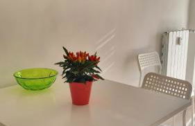 Alloggio per uso Turistico Capone Alessia - A DUE PASSI DAL CENTRO - Foto 25