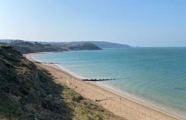 Brambles chine - Photo 16