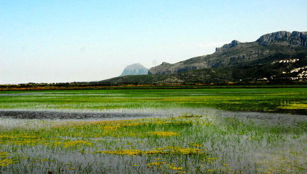 Bellavista Residential - Foto 4