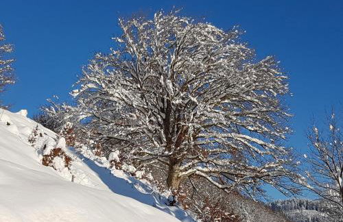 Ferienhaus Rombach Wohnung A - Foto 10