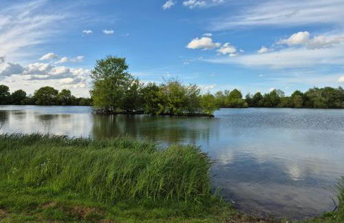Le chalet du bord de Saône - Foto 40