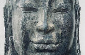 Agrotur Fenix - Foto 38