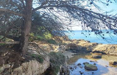 Casa Porto Selvaggio - Foto 51