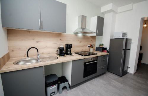 La Petite Pontissalienne - Appartement Centre de Pontarlier - Foto 15